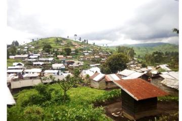 Moise-1.jpg