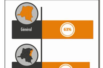 congolais-2.jpg