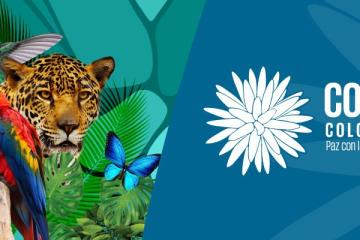 cop-16.jpeg