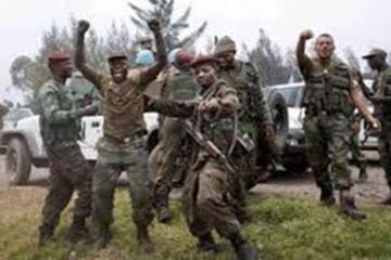  les FARDC 