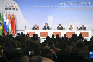 xi-brics.jpg