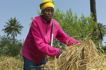 La DBSA et le Fida s'associent en faveur du développement rural dans le continent africain. Photo droits tiers