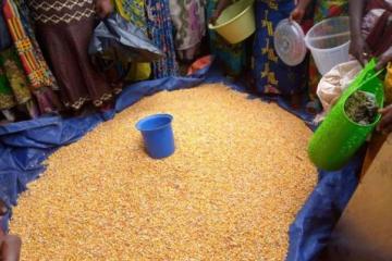 Une vue de la vente de maïs au marché central de Kananga.