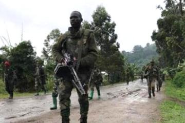 Neuf rebelles tués par les FARDC