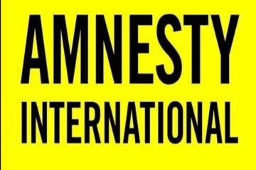 Amnesty 
