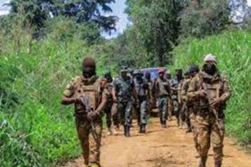 FARDC-UPDF