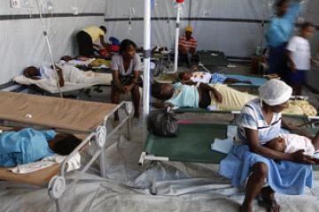 Plus de 750 morts