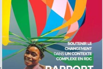 Rapport Annuel PNUD