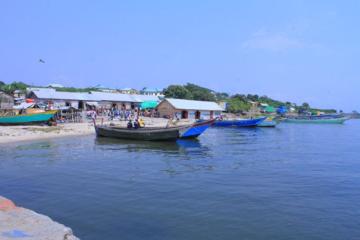 Image de Kasenyi.