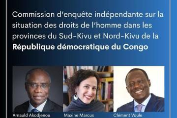 Experts de l'ONU