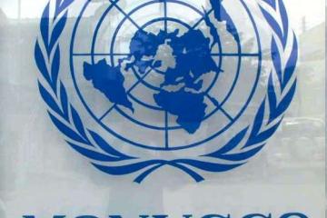 Monusco logo