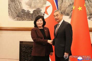  Wang Yi