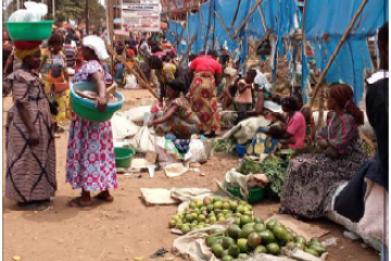 thnd