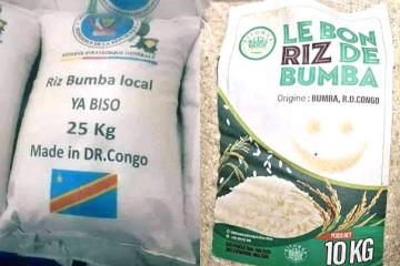 Le riz produit à Bumba