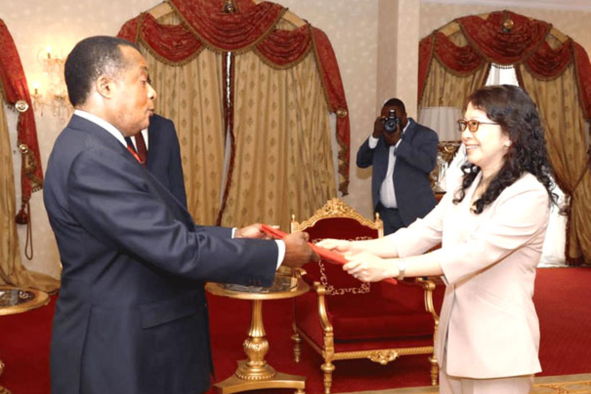 Congolais-2.jpg