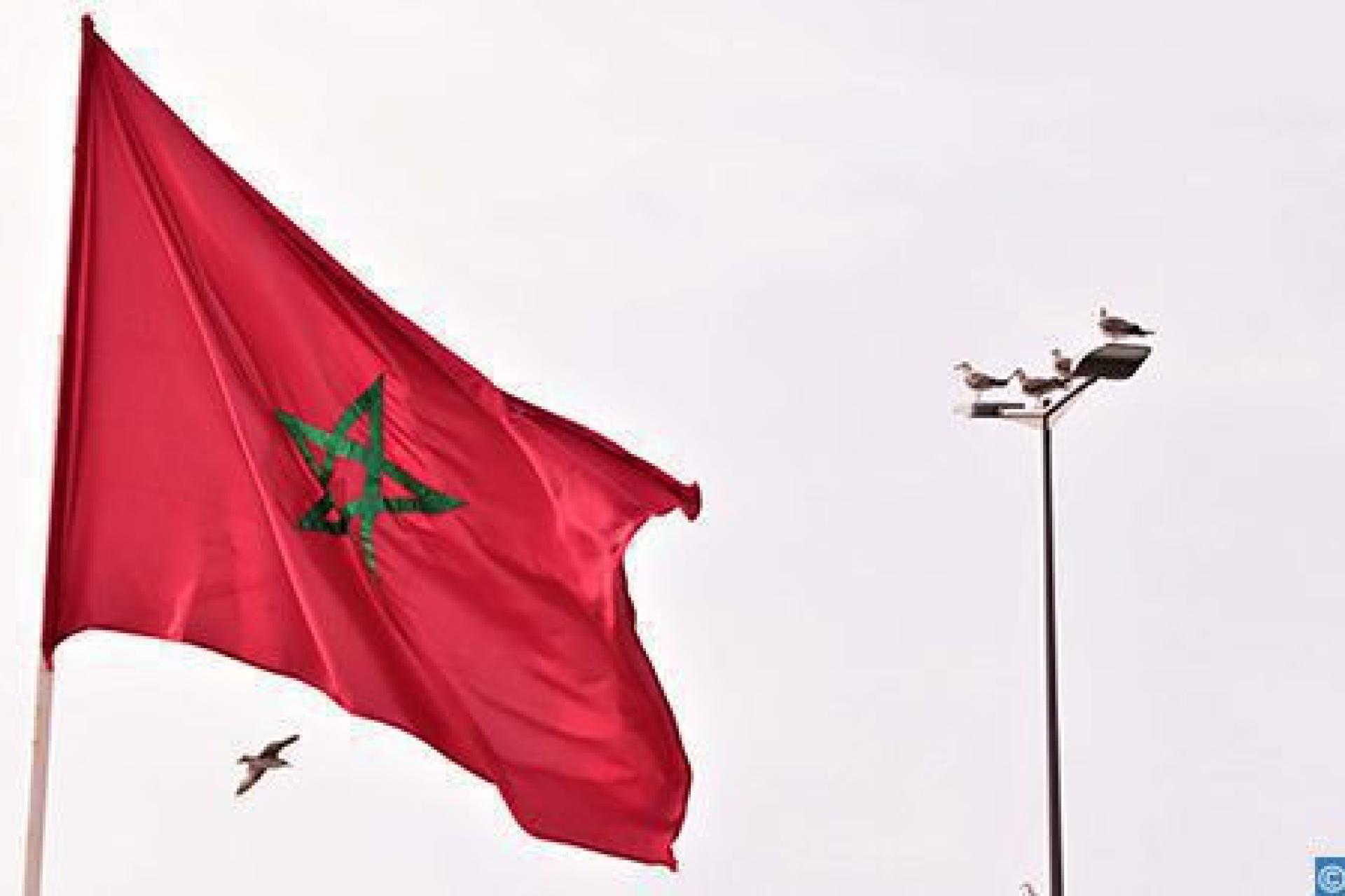 le-Roi-8.jpg