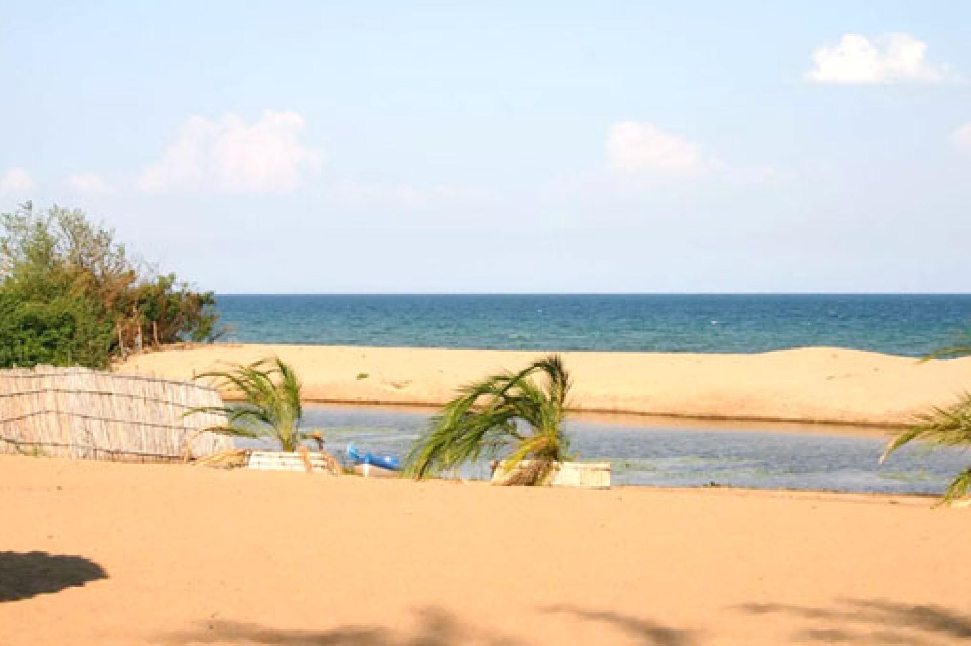 partis-1.jpg