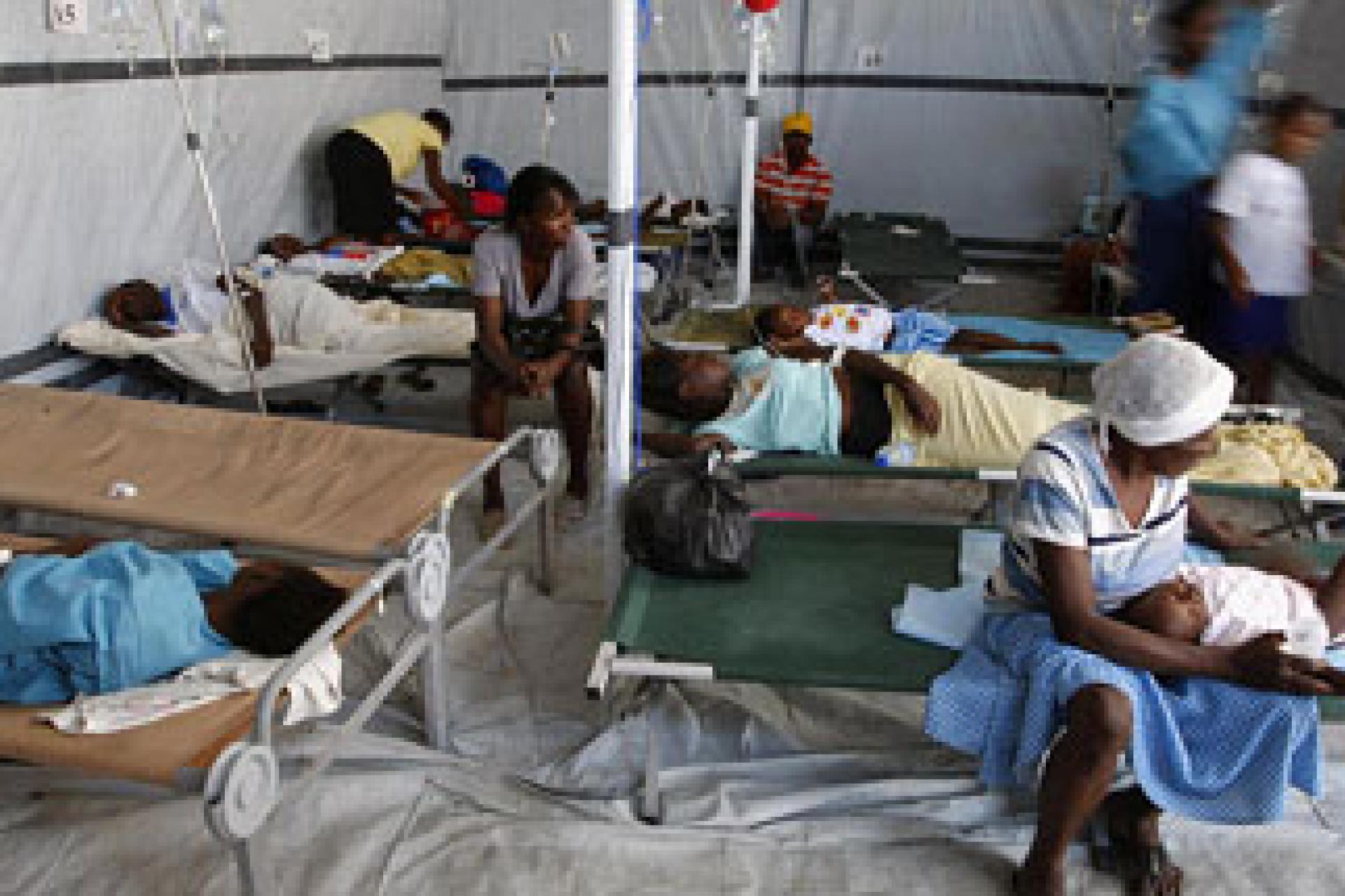 Plus de 750 morts