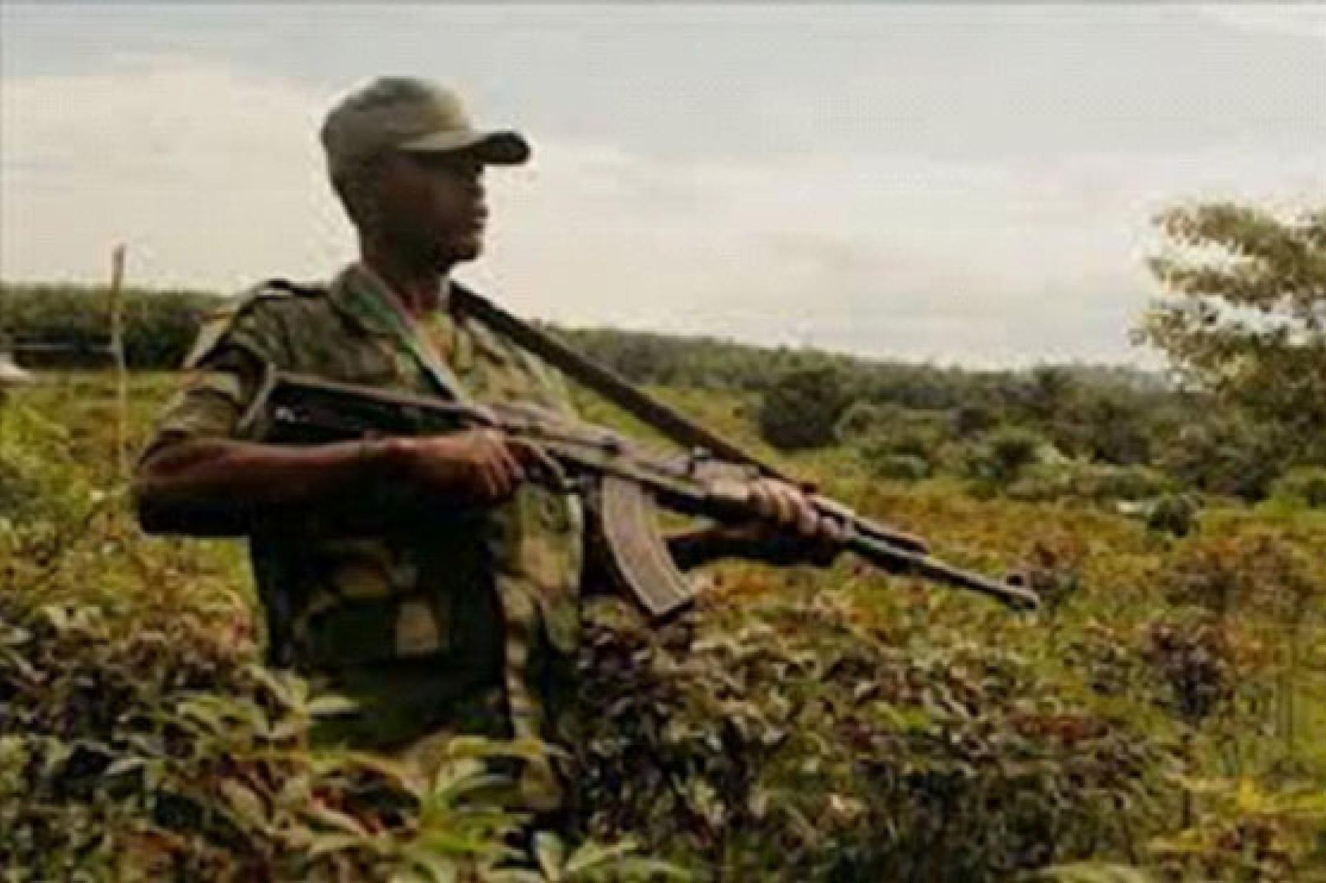 Les FARDC