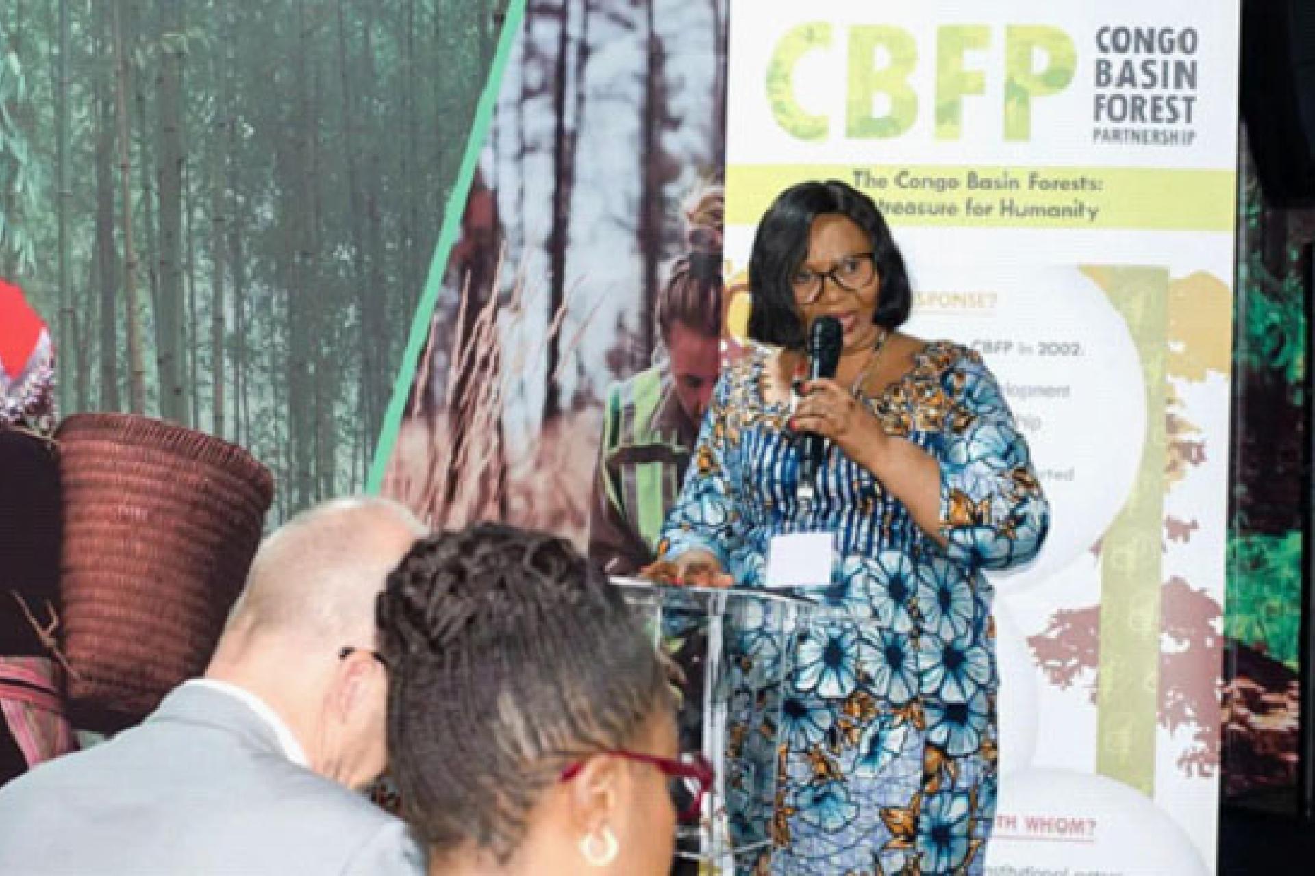 La ministre de l'Environnement, Développement durable et Nouvelle économie du climat, Marie Nyange Ndambo. 