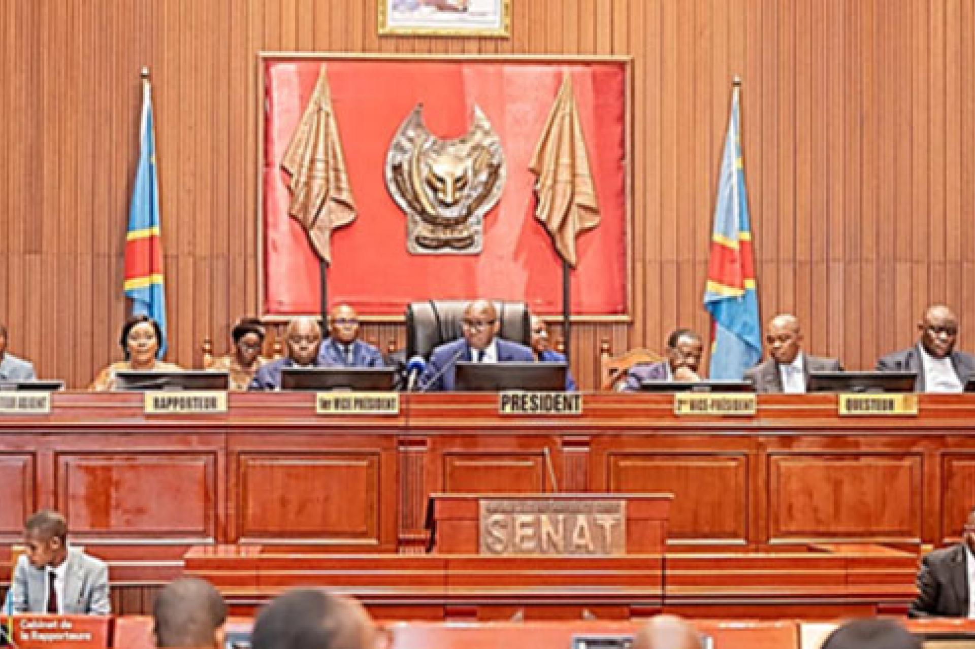 Plénière Sénat 01