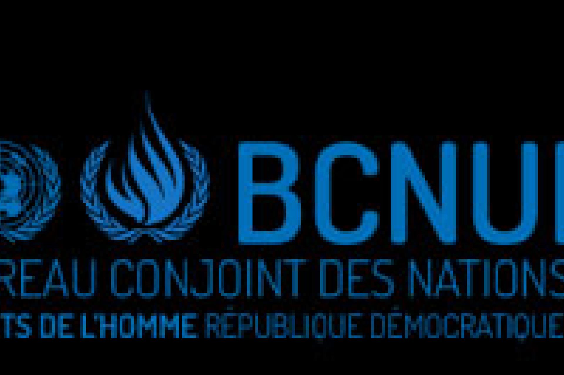 logo bcnudh