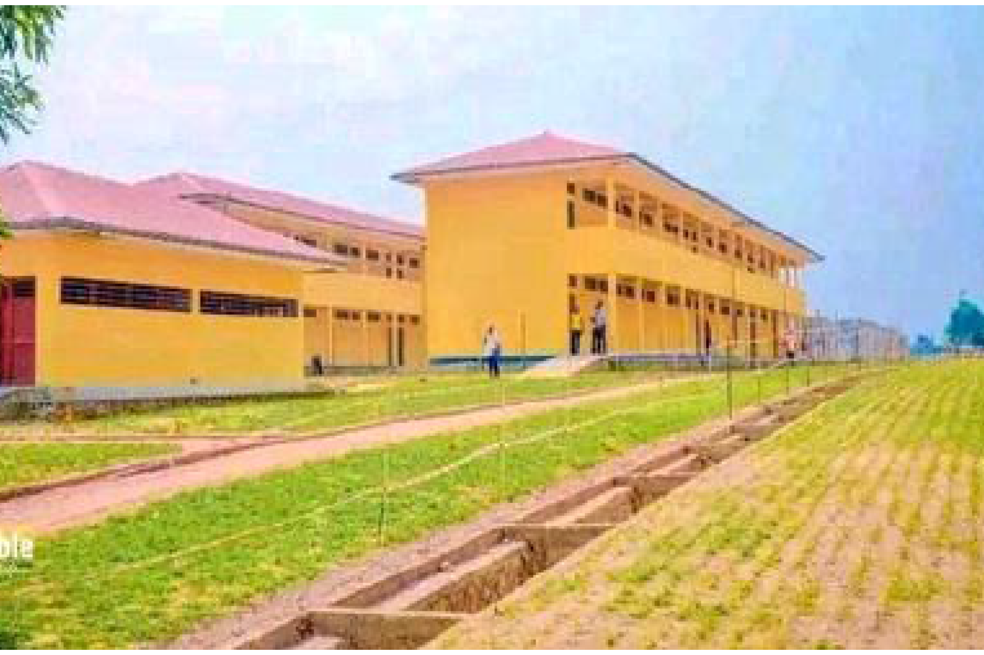 cfns